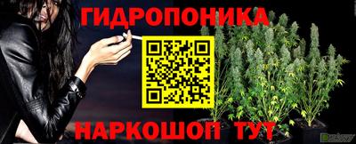 твердый Донецк