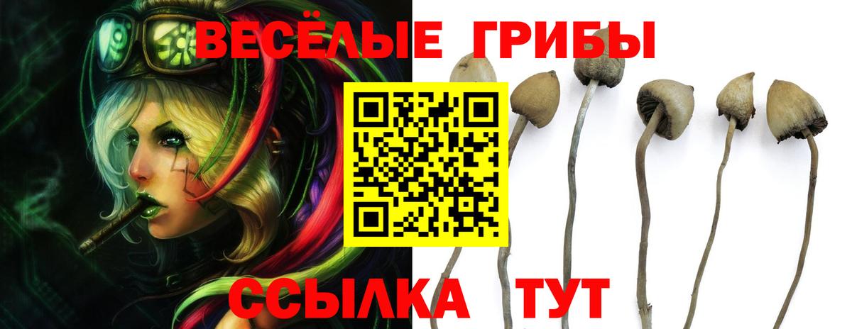 Миасс  Галлюциногенные грибы Cubensis  как найти закладки  Вход с VPN 